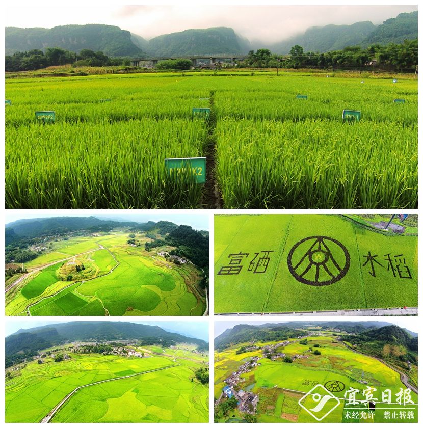 光影魔术手拼图