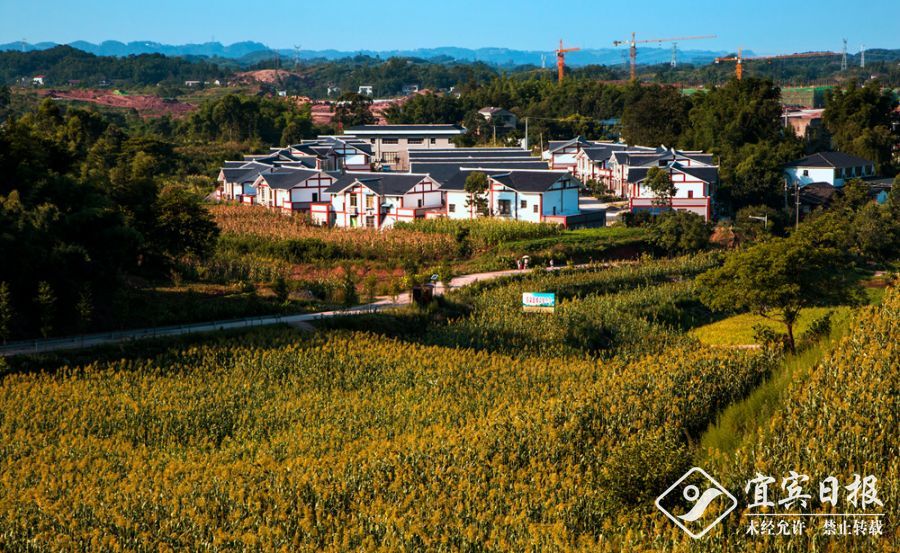 037——04《粮农的新居》翠屏区宋家乡037田永现13990975893
