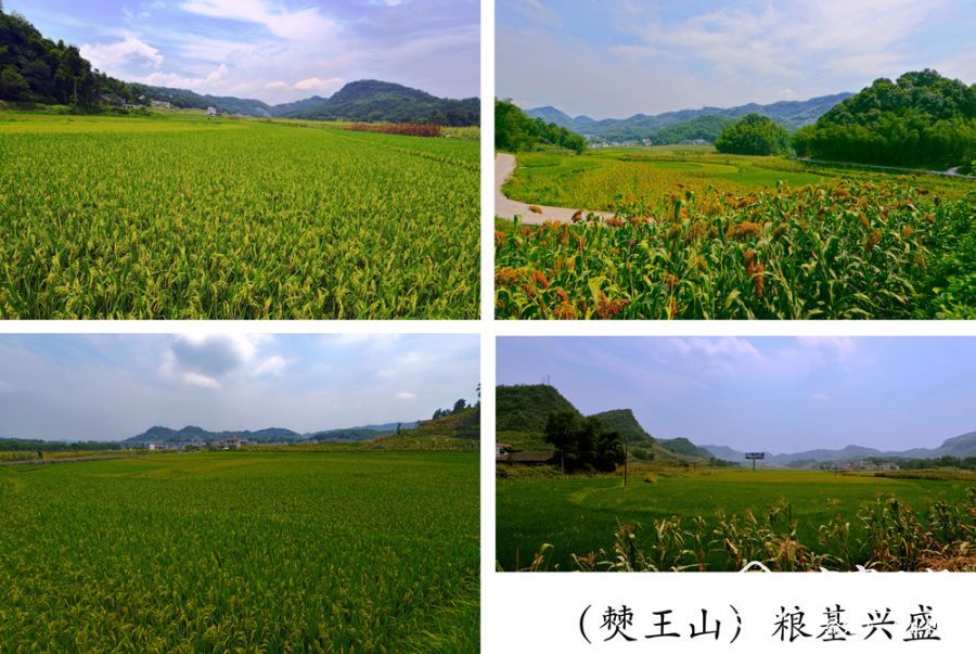 052——03粮基兴盛 僰王山052张鸣放13990926636