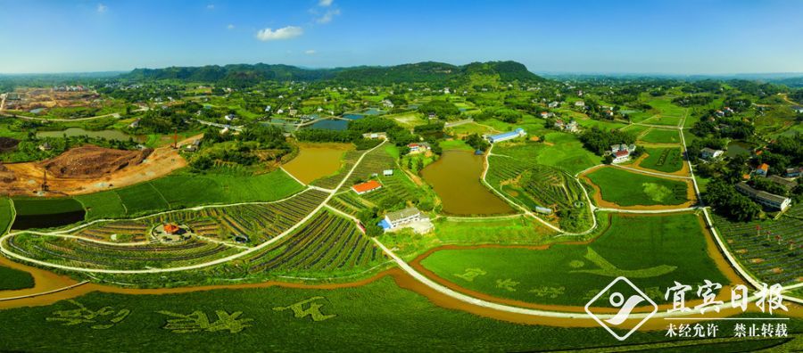 053——04 《五粮液酿酒专用粮基地》航拍全景 宋家镇053张元戎13890981123